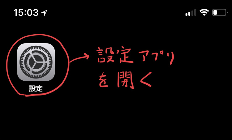iPhoneの設定アプリの画像