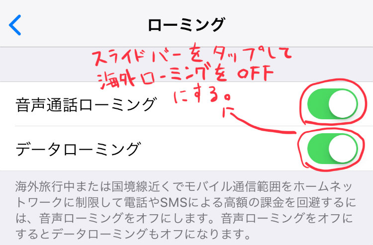 iPhoneのローミング設定の画像設定ON