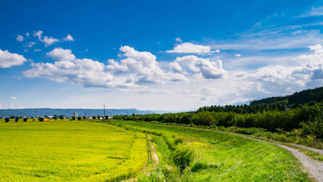 田舎の風景