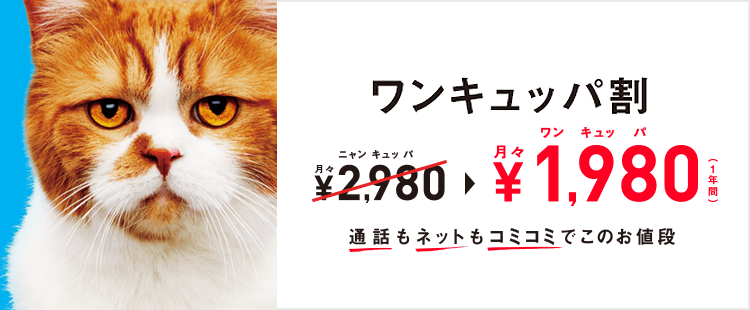 Y!mobile(ワイモバイル)のキャンペーン⑫