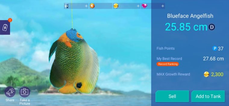 フィッシングストライク