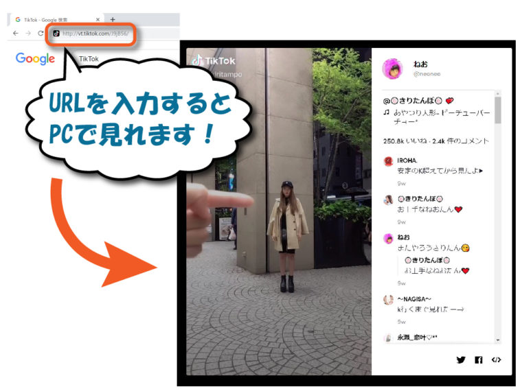 URLを入れるとTikTok動画が再生される