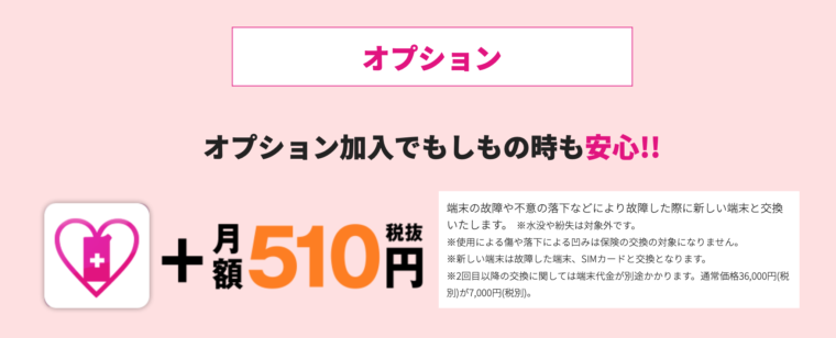 510wifiのオプション内容