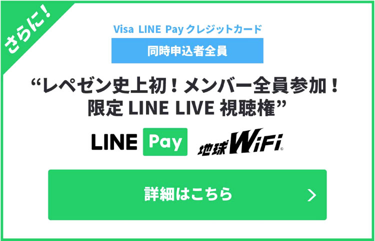 地球WiFiのキャンペーン④