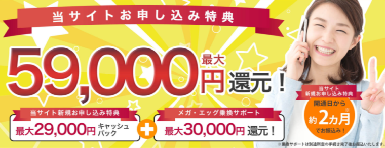 メガエッグの販売代理店ITネクスト