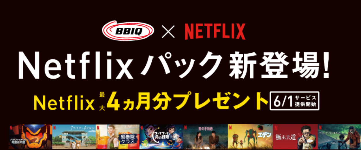 ビビック光×Netflixパック