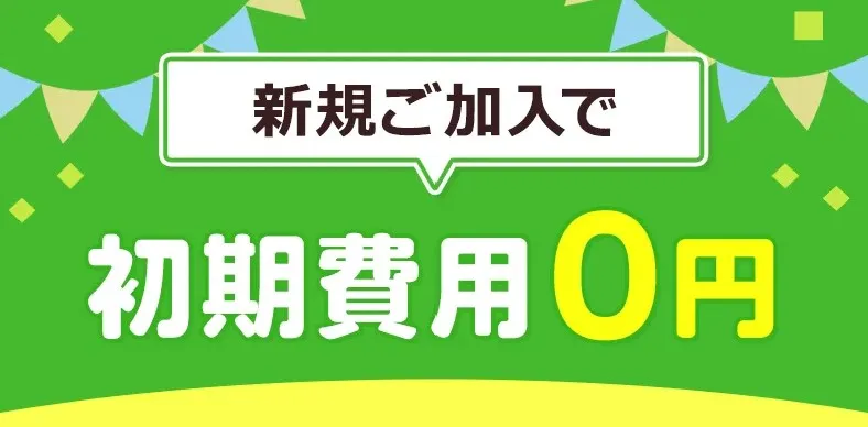ピカラ光　初期費用