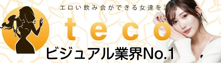 teco公式